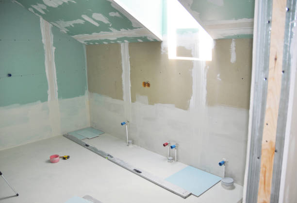 Asbestos and Lead Testing During Mold Inspection in Meeker, CO