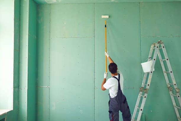 Best Dehumidification Services  in Meeker, CO