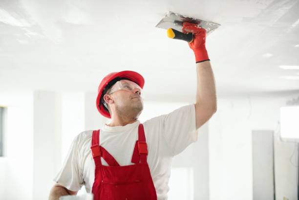 Best Mold Prevention Services  in Meeker, CO