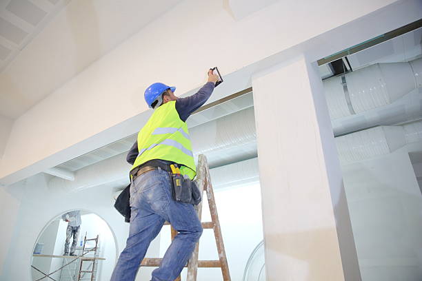 Best Mold Remediation for Healthcare Facilities  in Meeker, CO