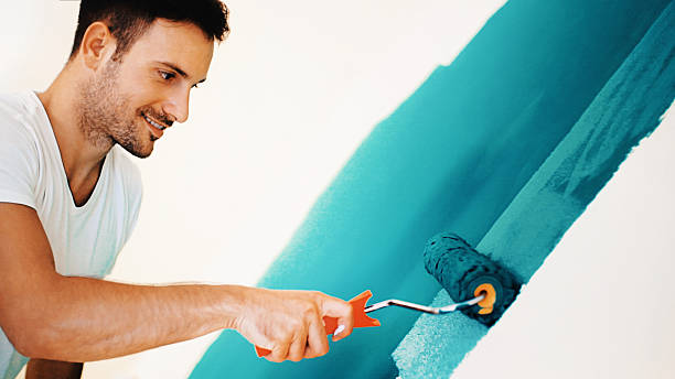Best Black Mold Removal  in Meeker, CO