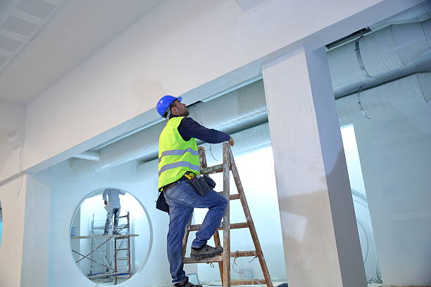 Best Emergency Mold Remediation  in Meeker, CO