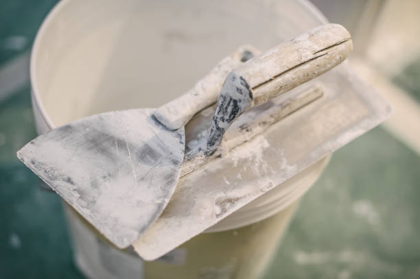Best Industrial Mold Remediation  in Meeker, CO