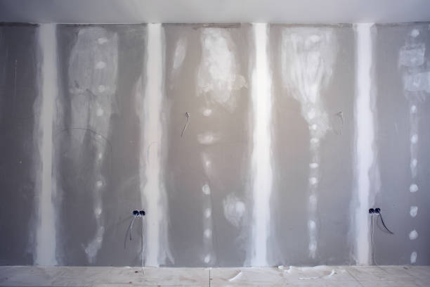 Best Asbestos and Lead Testing During Mold Inspection  in Meeker, CO