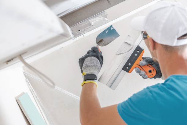 Best Post-Construction Mold Inspection  in Meeker, CO